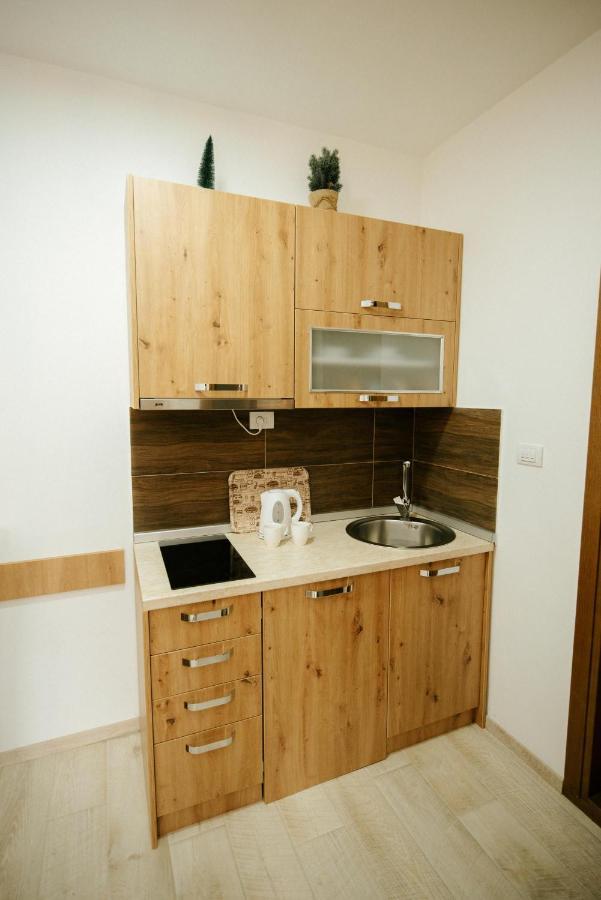 Apartman Kostic Kraljev Konak Kopaonik Exterior foto